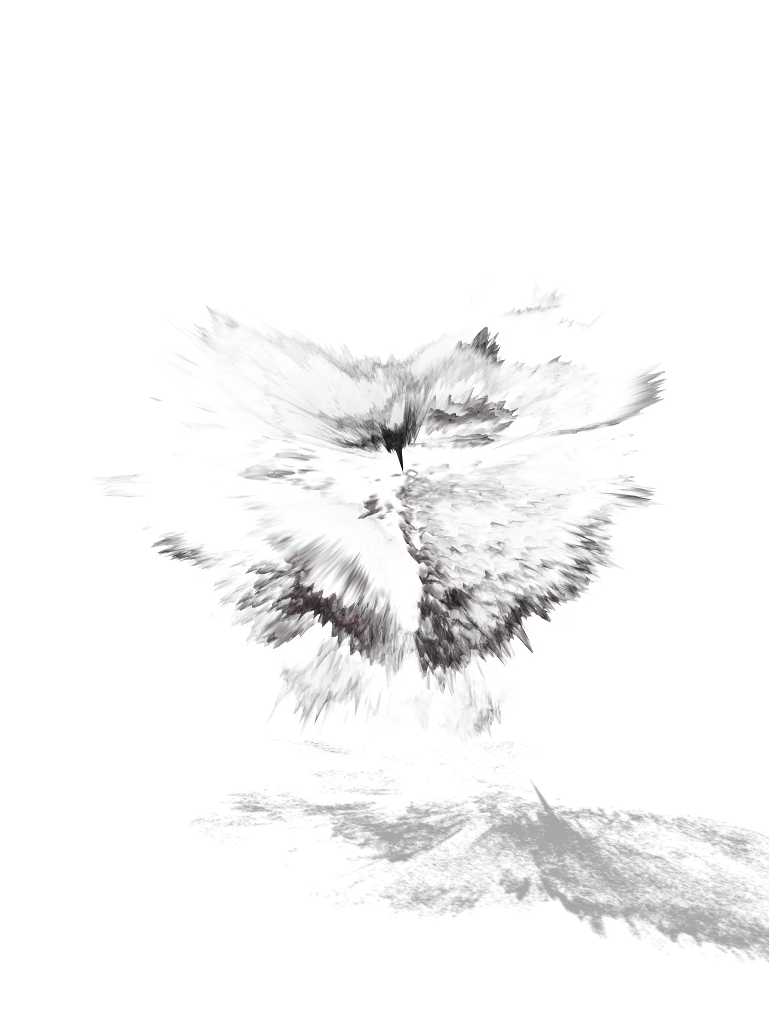 MATTHEW SWARTS Abstract black and white digital artwork with a VISUAL explosion of wispy, feathery textures radiating from a central point, casting a shadow below—a striking piece for the contemporary art lover.
